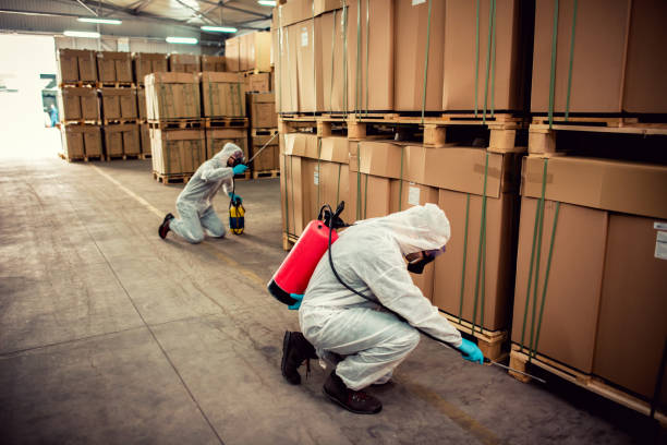 Best Pest Control for Businesses  in Neosho, MO