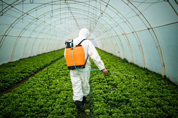 Best Commercial Pest Control Services  in Neosho, MO