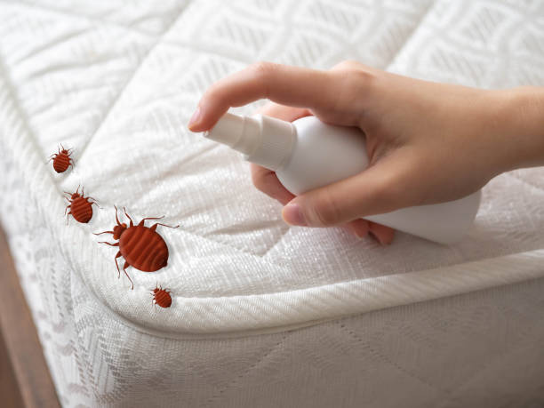 Best Emergency Pest Control  in Neosho, MO
